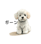 Cute poodle stamps（個別スタンプ：12）