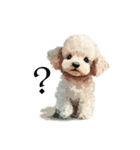 Cute poodle stamps（個別スタンプ：13）