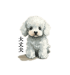 Cute poodle stamps（個別スタンプ：15）