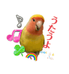 コザクラインコよもぎ♀6（個別スタンプ：16）