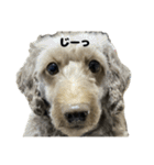 ジョルノ、ジョリーン、はち、ゆずの日常（個別スタンプ：34）