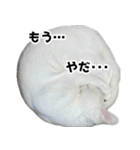 ルルのラインスタンプ（個別スタンプ：7）