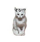 ルルのラインスタンプ（個別スタンプ：9）