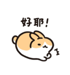 今日からウサギになりましょう 1（個別スタンプ：1）