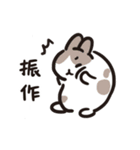 今日からウサギになりましょう 1（個別スタンプ：3）