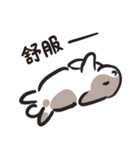 今日からウサギになりましょう 1（個別スタンプ：13）
