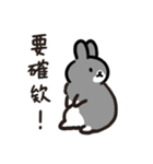 今日からウサギになりましょう 1（個別スタンプ：14）