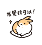 今日からウサギになりましょう 1（個別スタンプ：16）