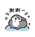 今日からウサギになりましょう 1（個別スタンプ：23）