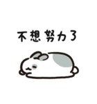 今日からウサギになりましょう 1（個別スタンプ：28）