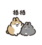 今日からウサギになりましょう 1（個別スタンプ：29）