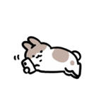 今日からウサギになりましょう 1（個別スタンプ：31）
