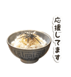 毎日使える♡白ご飯（個別スタンプ：15）