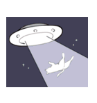 Ĉi tio estas…-人間改良計画-LINEスタンプ（個別スタンプ：37）