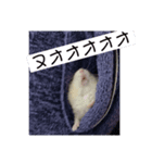ハムスターのはむはむ（個別スタンプ：3）