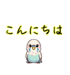 セキセイインコの感情表現（個別スタンプ：11）