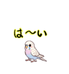 セキセイインコの感情表現（個別スタンプ：20）