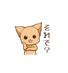 さわ犬ラッキー（看護1ヶ月目）（個別スタンプ：3）