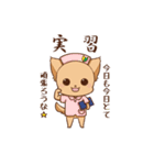さわ犬ラッキー（看護1ヶ月目）（個別スタンプ：7）