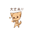 さわ犬ラッキー（看護1ヶ月目）（個別スタンプ：15）