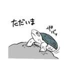 カメユの亀スタンプ（個別スタンプ：12）