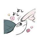 カメユの亀スタンプ（個別スタンプ：33）