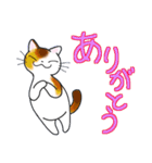 和風猫＜大きな文字6 ＞（個別スタンプ：5）