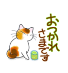 和風猫＜大きな文字6 ＞（個別スタンプ：7）