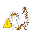 和風猫＜大きな文字6 ＞（個別スタンプ：11）