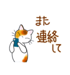 和風猫＜大きな文字6 ＞（個別スタンプ：12）