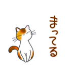 和風猫＜大きな文字6 ＞（個別スタンプ：13）