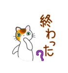 和風猫＜大きな文字6 ＞（個別スタンプ：14）