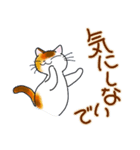 和風猫＜大きな文字6 ＞（個別スタンプ：16）