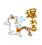 和風猫＜大きな文字6 ＞（個別スタンプ：19）