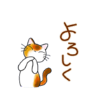 和風猫＜大きな文字6 ＞（個別スタンプ：20）