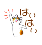 和風猫＜大きな文字6 ＞（個別スタンプ：31）