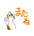 和風猫＜大きな文字6 ＞（個別スタンプ：38）