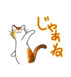 和風猫＜大きな文字6 ＞（個別スタンプ：40）