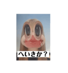 ちゃんちゃんの証明写真（個別スタンプ：8）