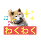 粟野農場LINE stamp（個別スタンプ：9）