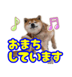 粟野農場LINE stamp（個別スタンプ：26）