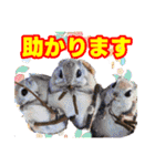 粟野農場LINE stamp（個別スタンプ：28）