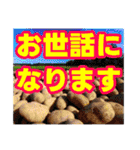 粟野農場LINE stamp（個別スタンプ：29）