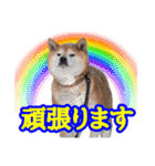 粟野農場LINE stamp（個別スタンプ：33）