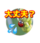 粟野農場LINE stamp（個別スタンプ：36）