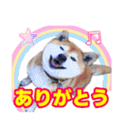 粟野農場LINE stamp（個別スタンプ：39）
