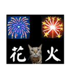 こたとらちょび(四季編)（個別スタンプ：18）