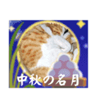 こたとらちょび(四季編)（個別スタンプ：27）
