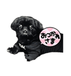 ももてて（個別スタンプ：8）