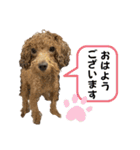 きゅうぷ（個別スタンプ：2）